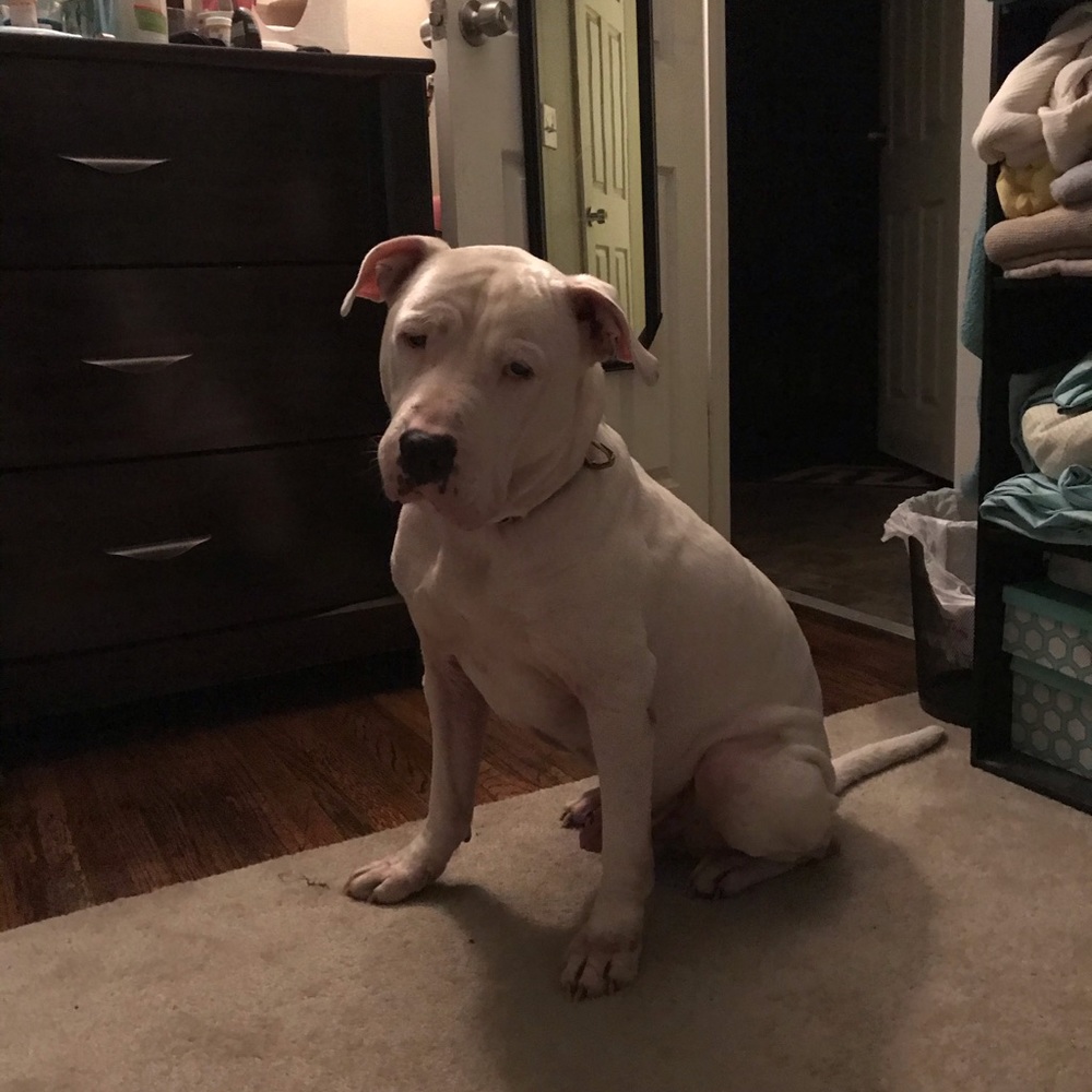 Meet your Posher, Breanna